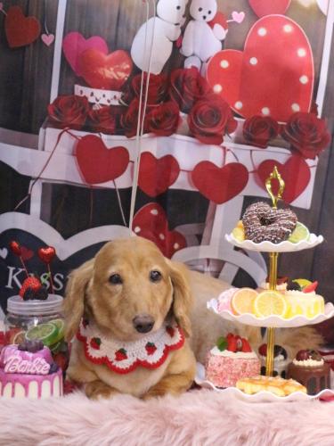 20250215レオンくん